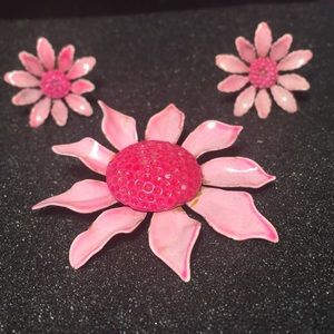 Enamel brooch and clip on earring set